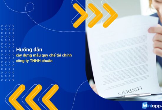 xây-dựng-mẫu-quy-chế-tài-chính -công-ty-TNHH-3