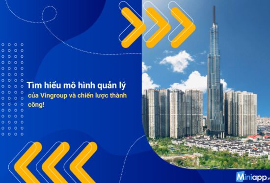 mô-hình-quản-lý-của-vingroup-2