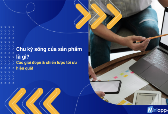 chu-kỳ-sống-của-sản-phẩm